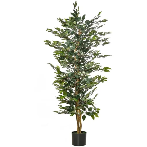 "Cherry laurel, Prunus laurocerasus "Caucasica," for a 5-meter hedge, 60-80 cm tall, 7-liter pot, 10 plants per set image"