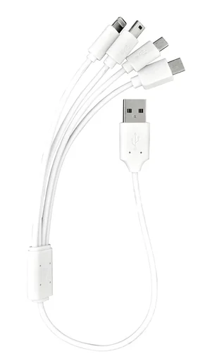 "Multi USB charging cable 4 in 1 image"