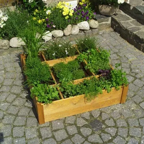 "herb bed image"