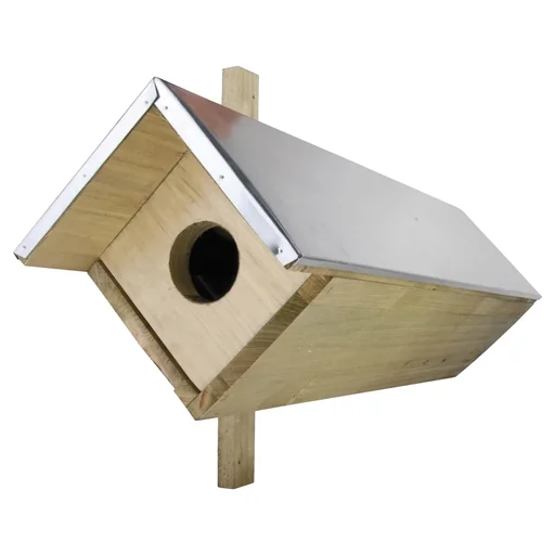 "Little owl box image"