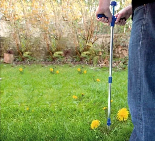 "Weed puller image"