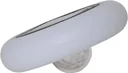 Solar LED pool light