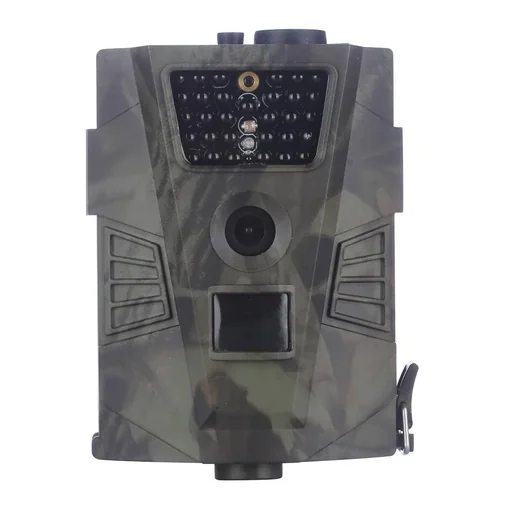 "Wildlife and surveillance camera image"