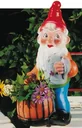 Dwarf as a dwarf 40 cm