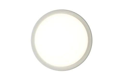 "ECO wall and ceiling light with interchangeable ring in chrome and white, 28 cm, 17 watts, IP54 image"