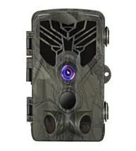 "Wildlife / surveillance camera image"