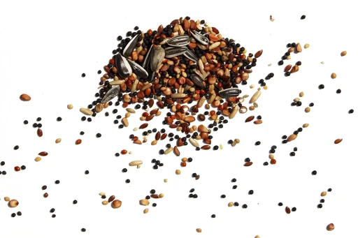 "Year-round bird scatter feed, 1 kg image"
