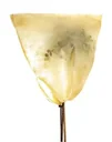 Potted plant bag, size S, 80 x 60 cm, 50 g/m², 1 piece