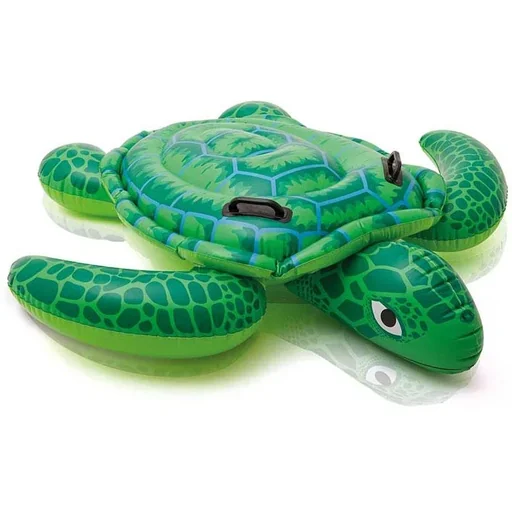 "Small inflatable turtle image"