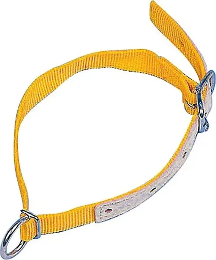 "Neck strap for sheep, 60 cm image"