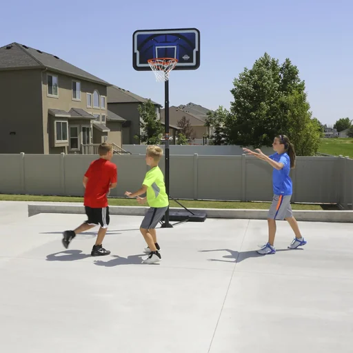 "Basketball Hoop Nevada Blue/Black image"