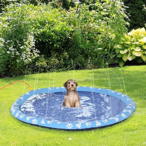 "Dog water toy with water connection blue image"