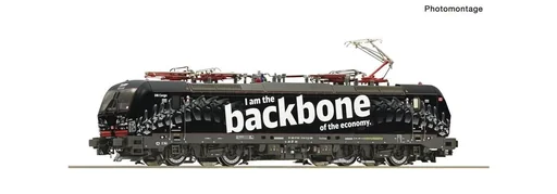 "Electric locomotive 193 318 of the Deutsche Bahn "Backbone" image"