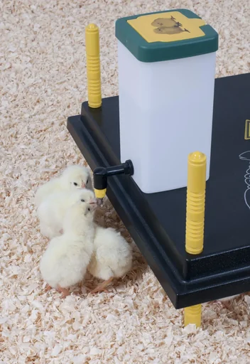 "Chick drinking bottle with flip-top lid 1 liter, natural with holder bracket image"
