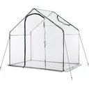 Greenhouse with transparent/dark green window