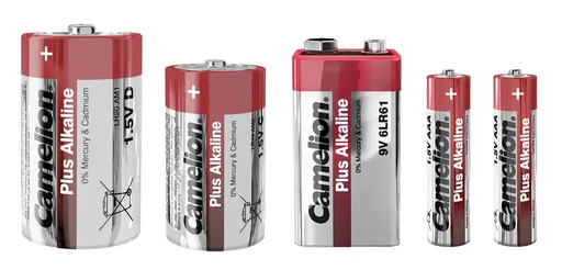 "Plus Alkaline Micro (AAA) Batteries - 10 pieces image"