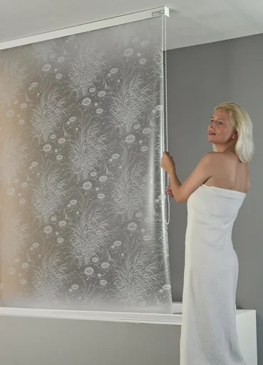 "Cassette shower blind ECO DUR SEEROSE, white, side pull image"