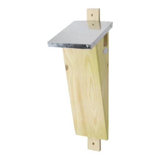 "Treecreeper nesting box image"