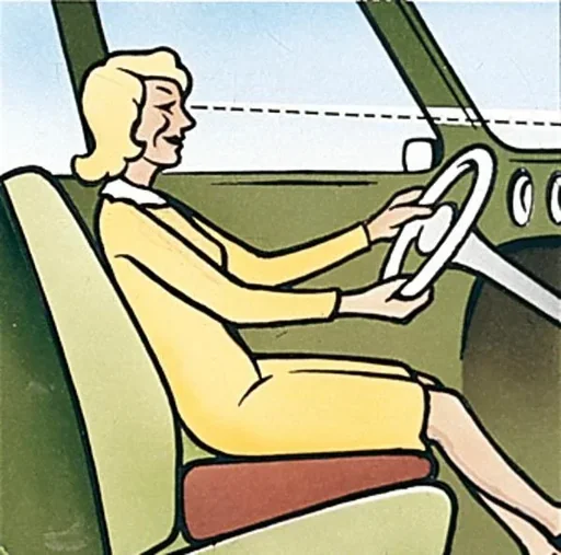 "Car seat cushion image"