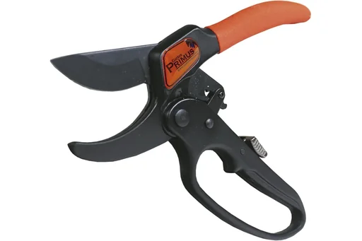 "Ratchet pliers image"