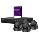 IP surveillance camera set - 4-channel network video recorder - 4 x IP dome cameras - 2 TB hard drive - cable
