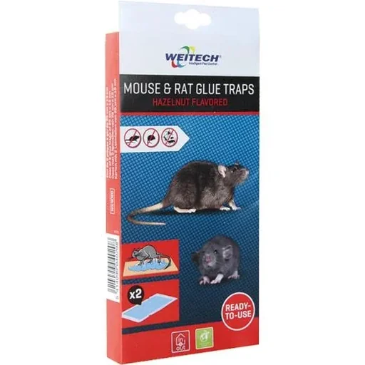 "Mousetrap - with glue image"