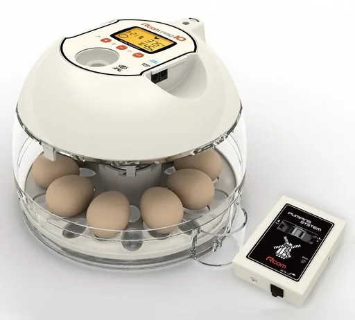 "Incubator R-COM10 PRO PLUS for 10 eggs image"