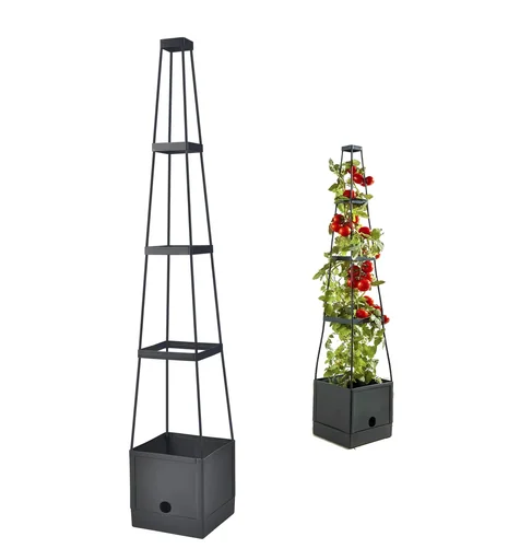 "Tomato trellis with water storage function image"