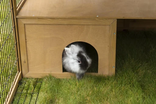 "Outdoor enclosure with plastic roof & escape barrier image"