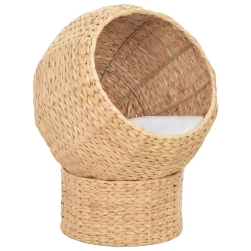"Cat basket seagrass image"