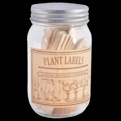 "Wooden plant signs in glass image"