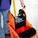 Cleaning cart with wringing device
