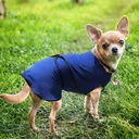 Dog Cooling Vest Cooling Jacket Cooling Vest Fast Cooling Polyester Blue Ø40 x 46 cm