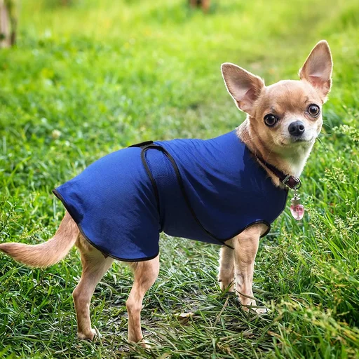 "Dog Cooling Vest Cooling Jacket Cooling Vest Fast Cooling Polyester Blue Ø40 x 46 cm image"