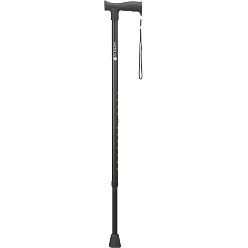 "walking stick image"